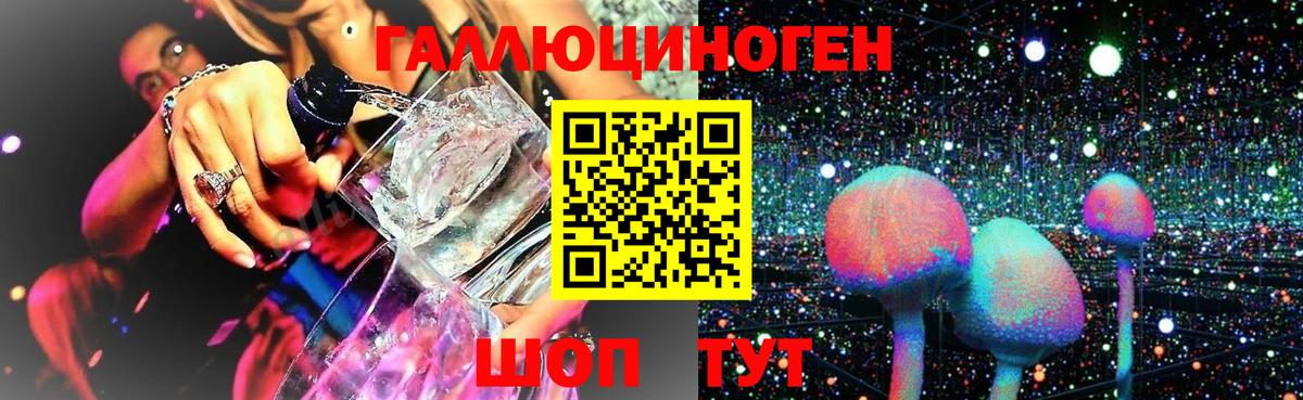 Галлюциногенные грибы GOLDEN TEACHER Дзержинский