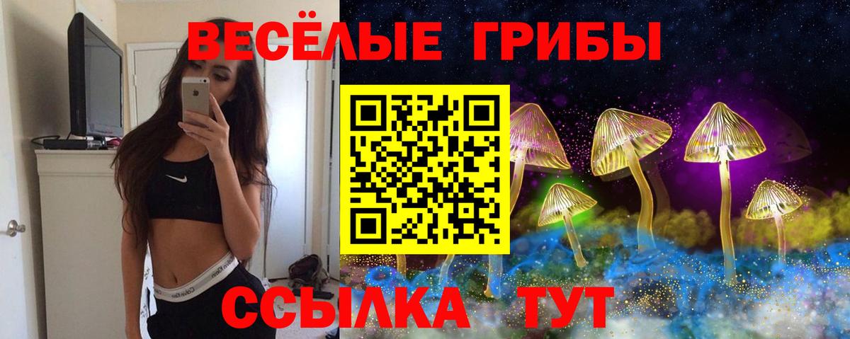 Дзержинский  Галлюциногенные грибы Psilocybine cubensis  Галлюциногенные грибы MAGIC MUSHROOMS  Вход с VPN 